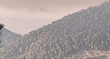 Hatay'daki orman yangını ikinci gününde; havadan müdahale başladı