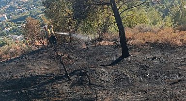 Hatay'daki orman yangını söndürüldü