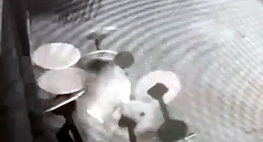 İşletmenin masalarını deviren alkollü kişi, güvenlik kameralarına dönüp özür diledi