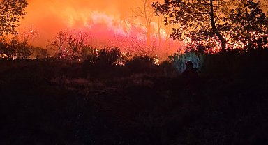 İspanya'da orman yangınları devam ediyor