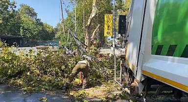 İstanbul - Bakırköy'de rüzgarın etkisiyle devrilen ağaç, Atatürk Ormanı'nın girişini kapattı
