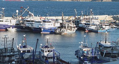 İstanbul - Balıkçılar 1 Eylül'deki yeni av sezonundan umutlu: 'Hamsi lüfer çinekop bol olacak'