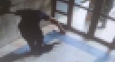 İstanbul - Başakşehir'de kediye işkence ederek öldüren inşaat işçisi gözaltına alındı; Bakan Tunç açıklama yaptı