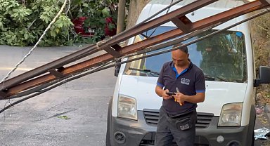 İstanbul - Beyoğlu'nda devrilen ağaç elektrik direklerini yıktı: 2 araç hasar gördü