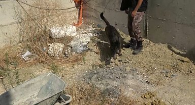 İstanbul - Büyükçekmece'de villa inşaatında bulunan ceset soruşturması: 3 şüpheli tutuklandı