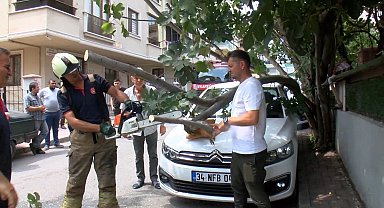 İstanbul - Çekmeköy'de kamyonetin çarptığı ağaç, park halindeki otomobilin üzerine devrildi