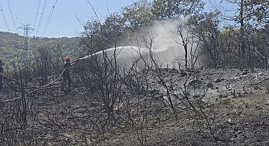 İstanbul- Çekmeköy'de orman yangını söndürüldü