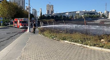 İstanbul - Esenyurt'ta otluk alanda çıkan yangın kısa sürede söndürüldü