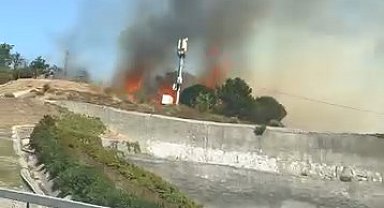 İstanbul - Eyüpsultan'da elektrik trafosundan çıkan yangın ağaçlık alana sıçradı