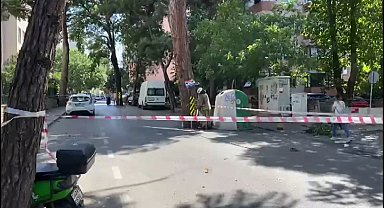 İstanbul - Kadıköy'de tehlike oluşturan ağaç dalı itfaiye tarafından alındı