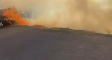 İstanbul - Maltepe'de havai fişek atarak otluk alanda yangın çıkaran şüpheli tutuklandı