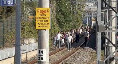 İstanbul- Marmaray hattına ağaç devrildi, yolcular demir yolunda yürüdü