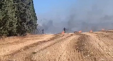 İstanbul - Silivri'de otluk alanda çıkan yangın çam ağaçlarına sıçradı