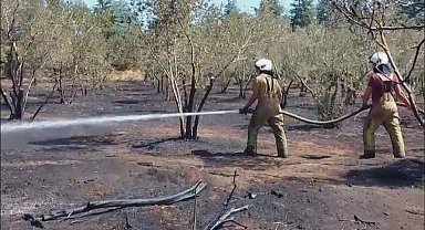 İstanbul - Silivri'de otluk alandaki yangın büyüdü, yakındaki fabrika tedbiren boşaltıldı