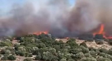 İzmir'de makilik yangını