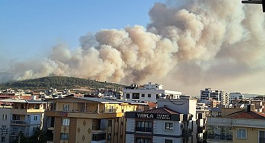 İzmir'de minibüste çıkan yangın ormana da sıçradı