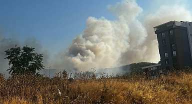 İzmir'de minibüste çıkan yangın ormana sıçradı