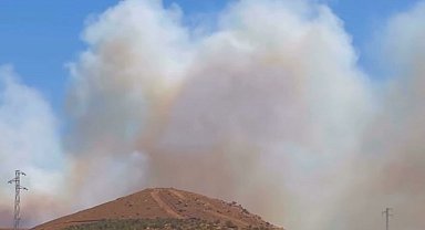 İzmir'de orman yangını