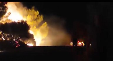 İzmir'de orman yangını