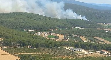 İzmir'de orman yangını