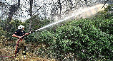 İzmir'de orman yangını