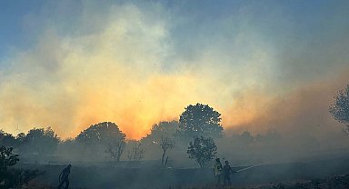 İzmir'de ot yangını; bazı evler zarar gördü