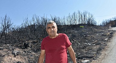 İzmir'de yerleşim yerleri çevresinde yanan alanlar havadan görüntülendi