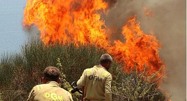 Karabük Üniversitesi'nden orman yangınlarına karşı politika raporu