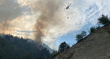 Karabük'te orman yangını