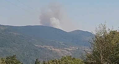 Karabük'te orman yangını