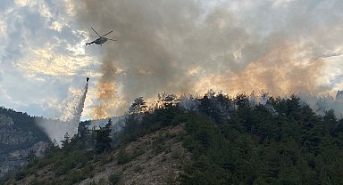 Karabük'te orman yangını
