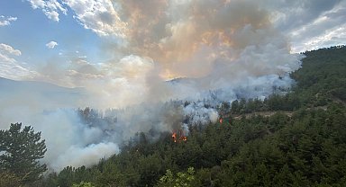 Karabük'te orman yangını