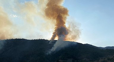 Karabük'te orman yangını