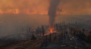 Karaman'da orman yangını