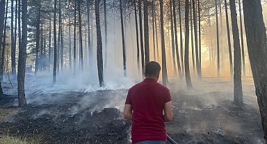 Kastamonu'da çıkan orman yangını kısa sürede söndürüldü