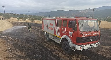 Kastamonu'da kopan elektrik teli anız yangını çıkardı