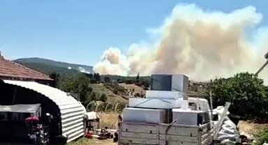 Kocaeli'de orman yangını