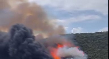 Kocaeli'de orman yangını