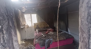 Kocaeli'de orman yangını