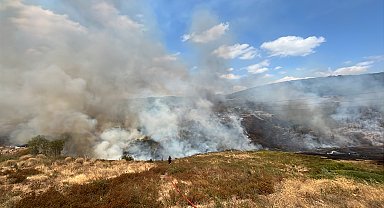 Kocaeli'de ot yangını; ekipler müdahale ediyor