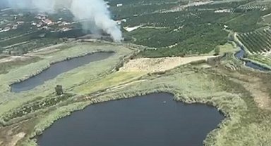 Köyceğiz Gölü yakınlarındaki sazlık yangınında 1 hektar alan zarar gördü