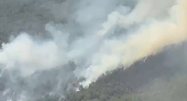 Küre Dağları Milli Parkı'nda orman yangını