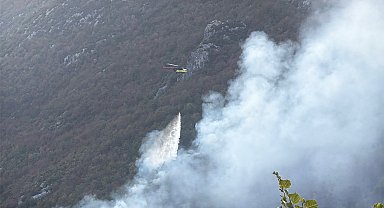 Küre Dağları Milli Parkı'nda orman yangını