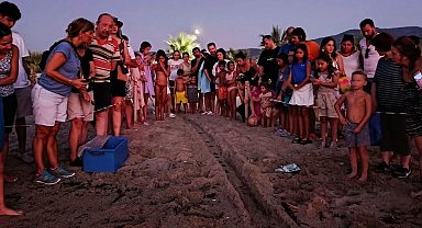 Kuşadası'nda caretta caretta yavruları denizle buluştu
