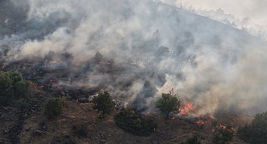 Malatya'da orman yangını