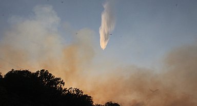 Malatya'da orman yangını