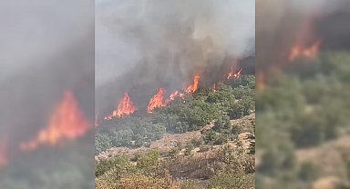 Malatya'da orman yangını