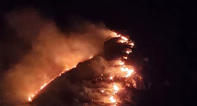 Marmara Adası'nda orman yangın