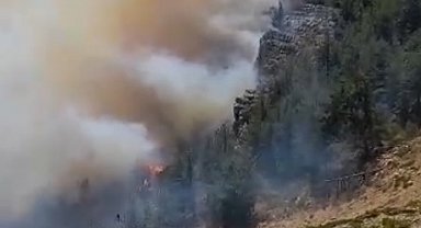 Mersin'de 3 ayrı noktada orman yangını