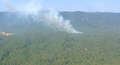 Mersin'de orman yangını